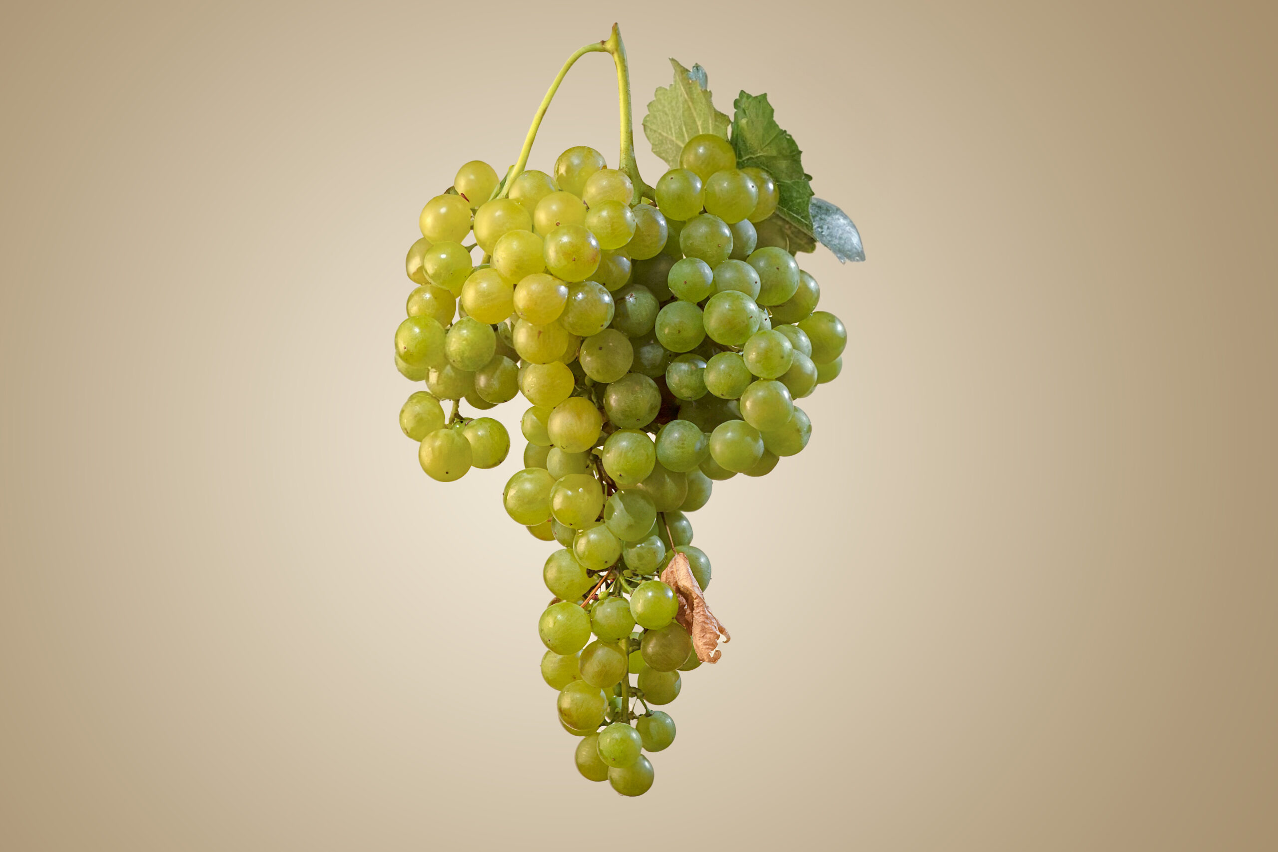 Λεωφόρος Δημοκρατίας 91