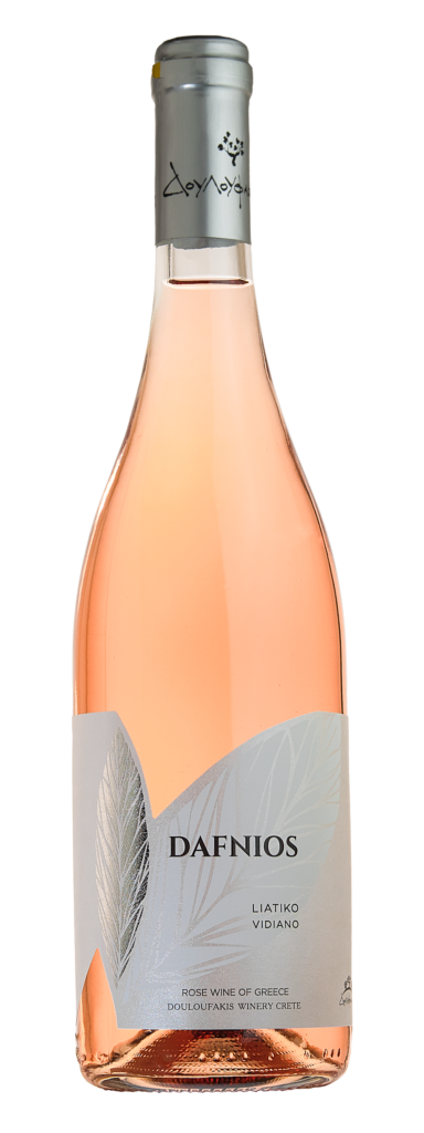Dafnios Rose