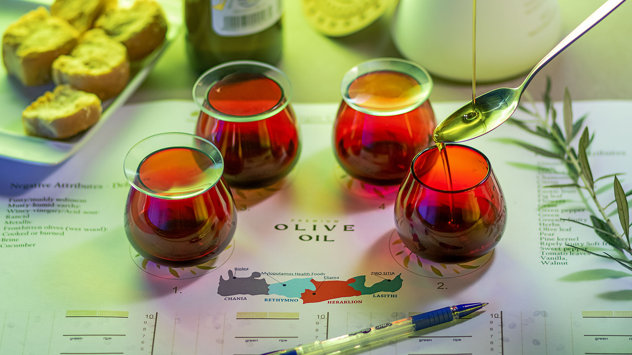 Γευσιγνωσία εξαιρετικά παρθένου ελαιολάδου Cressida στην Κρήτη